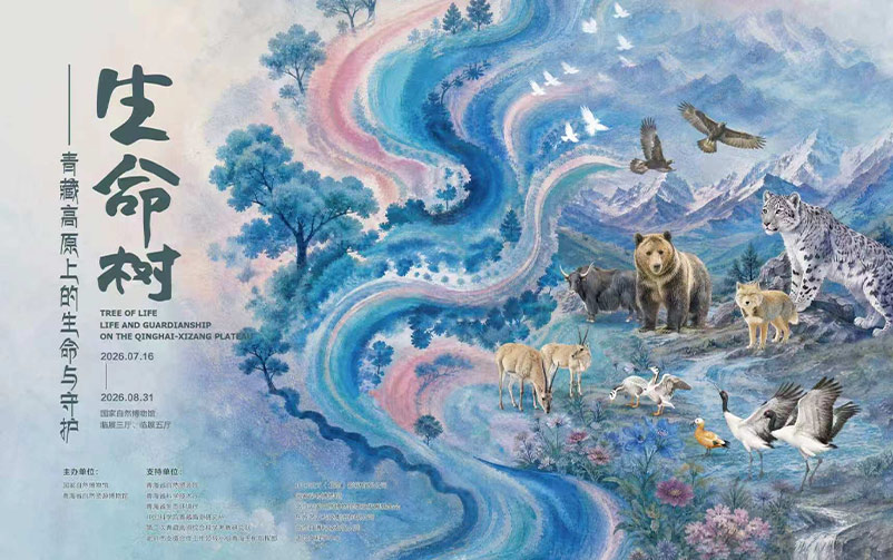快讯｜9091美高梅官方网站视觉再度携手国家自然博物馆，以“生命树”讲述青藏高原生命与守护