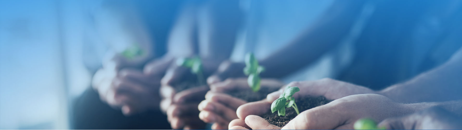 凯发一触即发(中国)官方网站